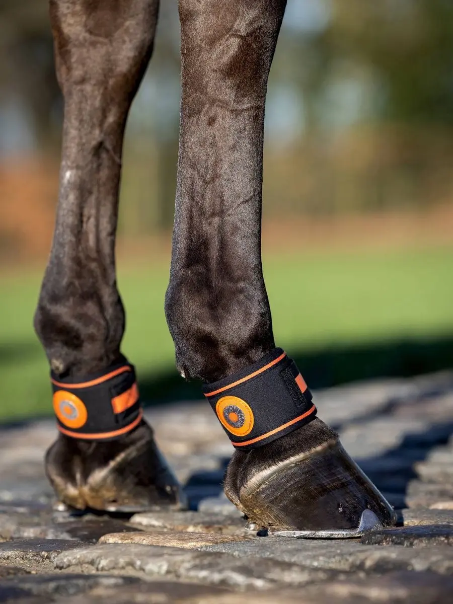 LeMieux Magno Pastern Wrap Kootholtebeschermer Black Cob