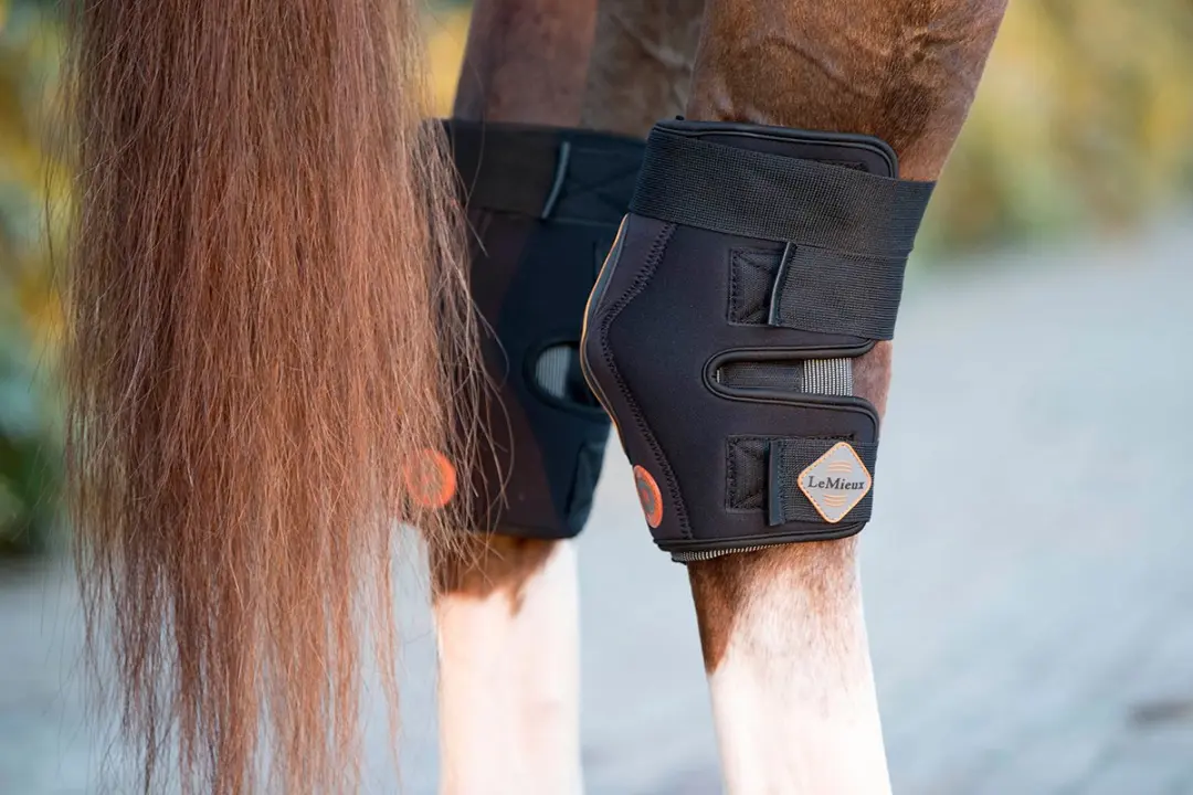 Lemieux Magno Pastern Wrap Hakbeschermers - 2 Stuks - Zwart - afbeelding 6 van 6