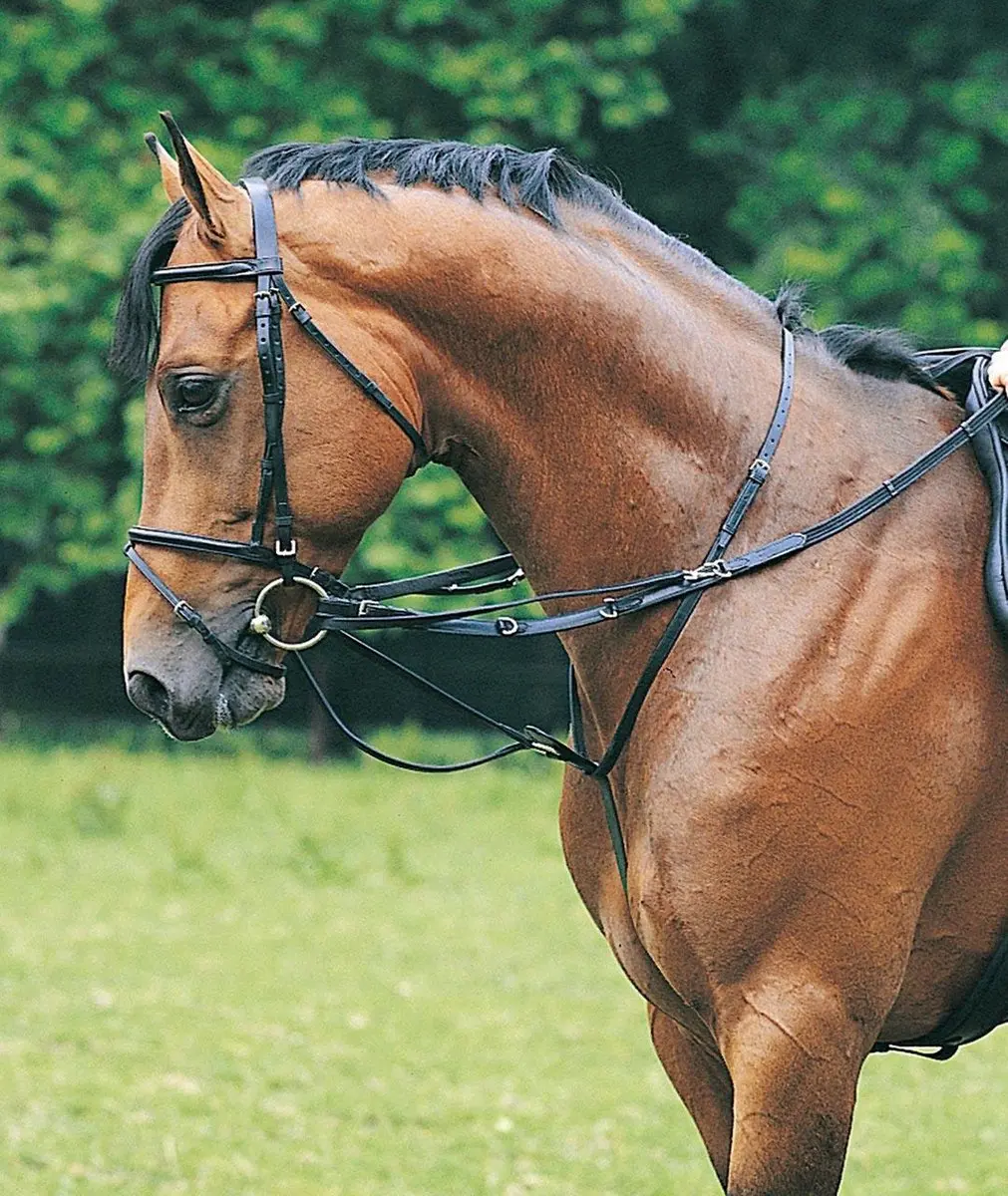 Pagony Thiedeman-teugel Cob