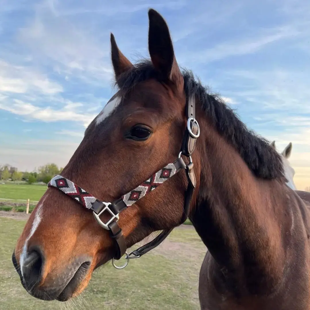 Pagony Halster Menorca Cob - Bruin