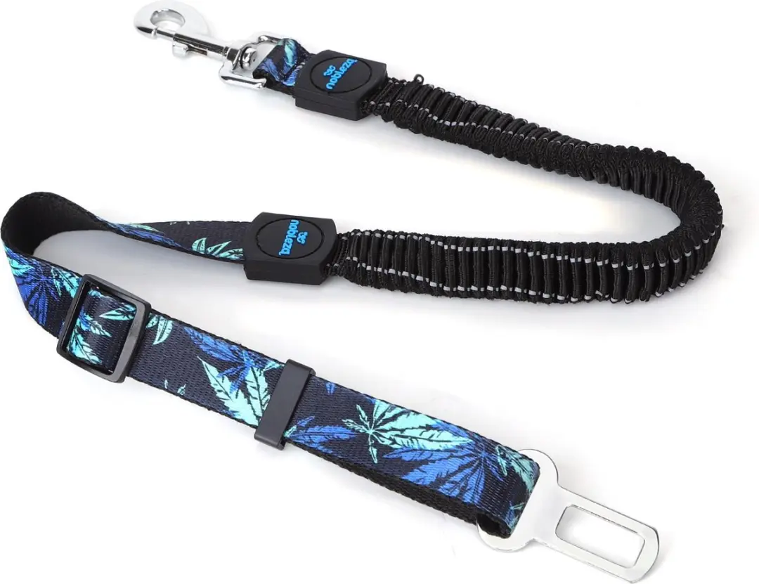 Nobleza Autogordel Hond 70-90cm