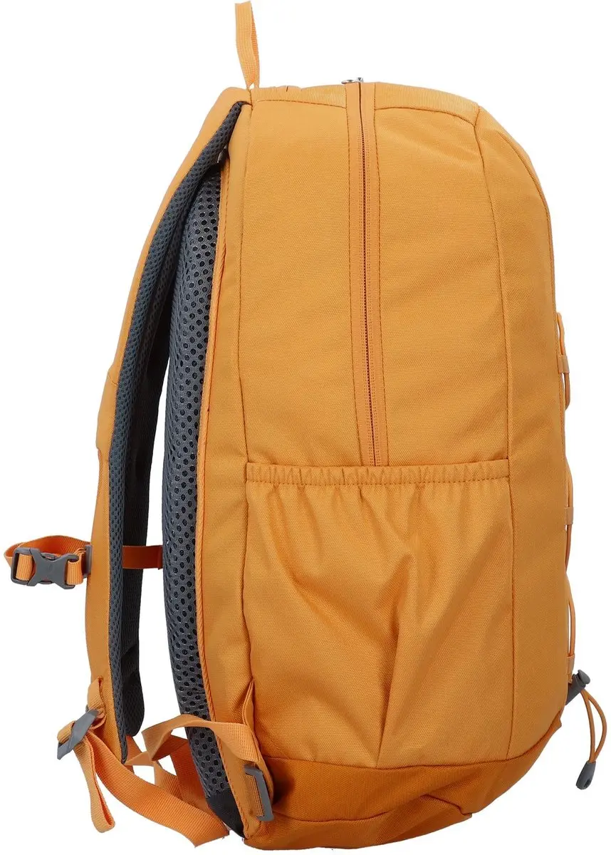 Deuter Gogo 25L Wandelrugzak - 25L - Amber/Maple Oranje - afbeelding 4 van 6