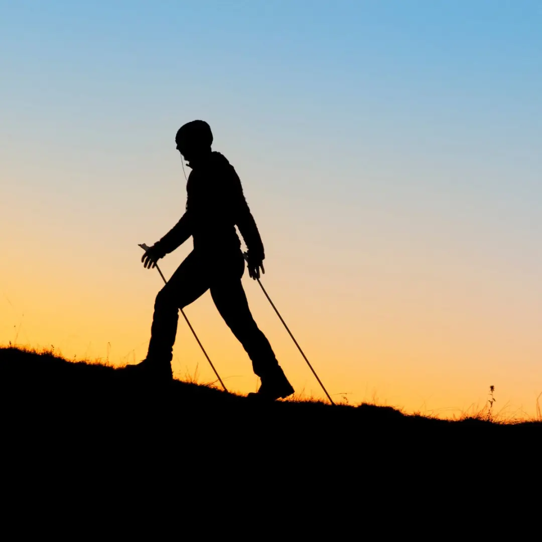 Toorx Nordic Walking Stokken AHF-084 - Telescopisch - Paar - Zwart/Kurk - afbeelding 6 van 6
