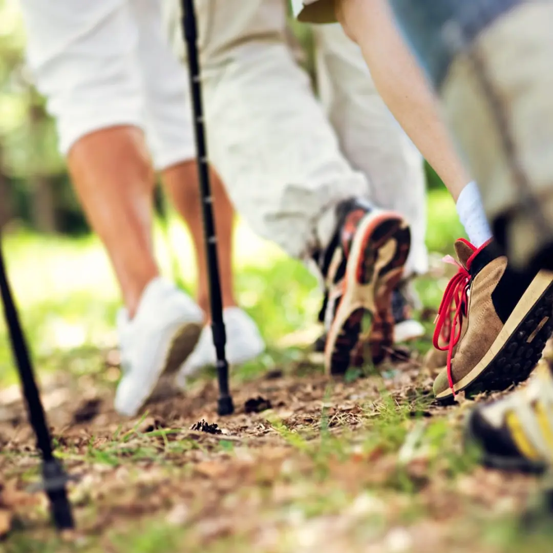 Toorx Nordic Walking Stokken AHF-084 - Telescopisch - Paar - Zwart/Kurk - afbeelding 5 van 6