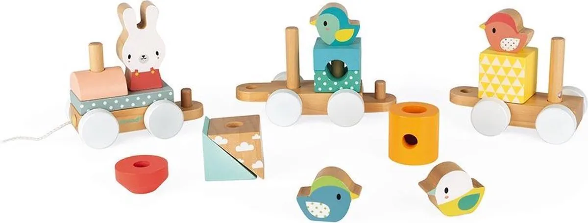 Janod Pure Houten Trein Bouwset 17 Blokken - 5157 - afbeelding 6 van 6