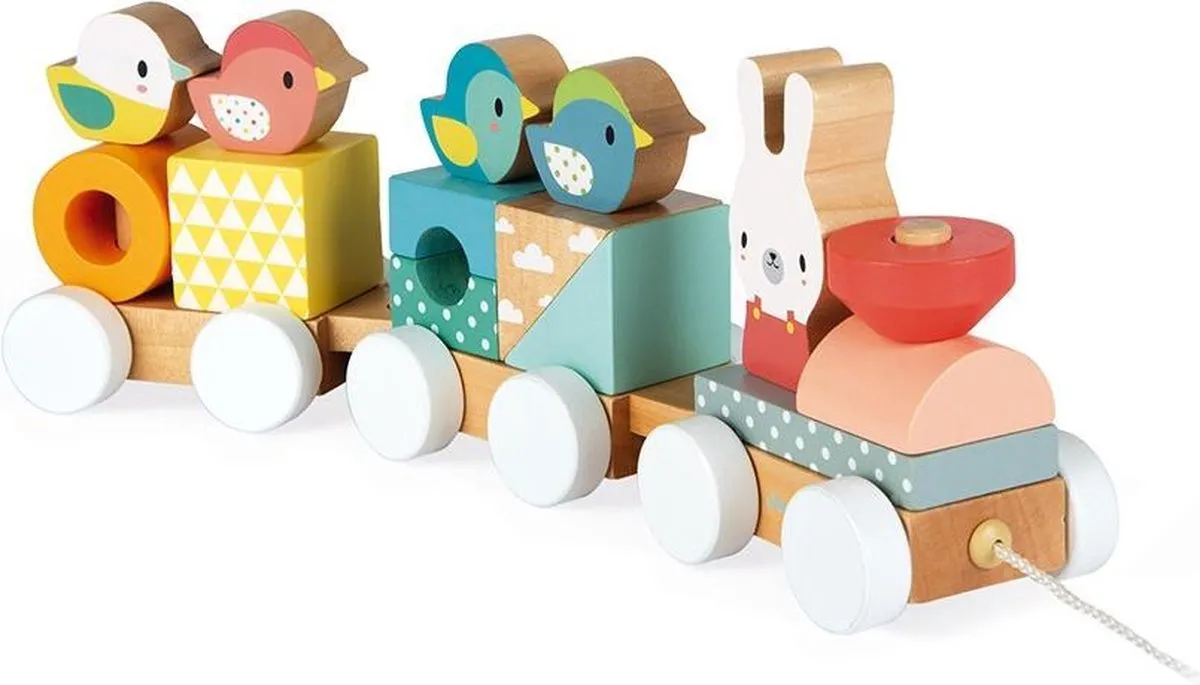 Janod Pure Houten Trein Bouwset 17 Blokken - 5157