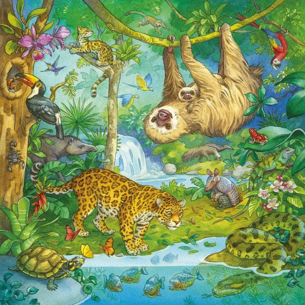 Ravensburger In het Oerwoud Puzzel - 3x49 Stuks - Multicolor - afbeelding 4 van 6