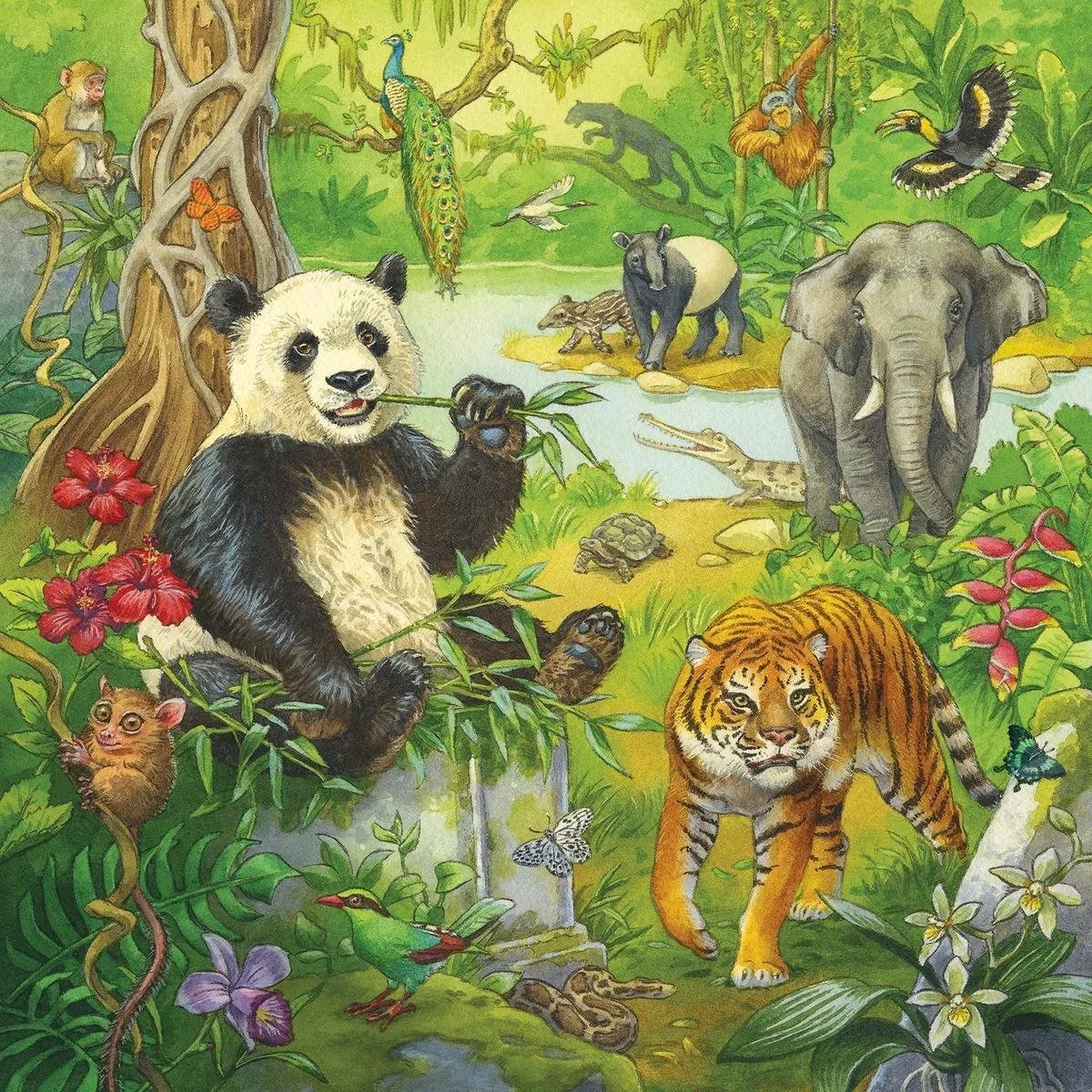 Ravensburger In het Oerwoud Puzzel - 3x49 Stuks - Multicolor - afbeelding 3 van 6