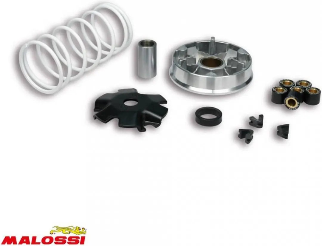 malossi variator voor kymco scooter 50 dink 2t 51 9988 / multivar nieuw