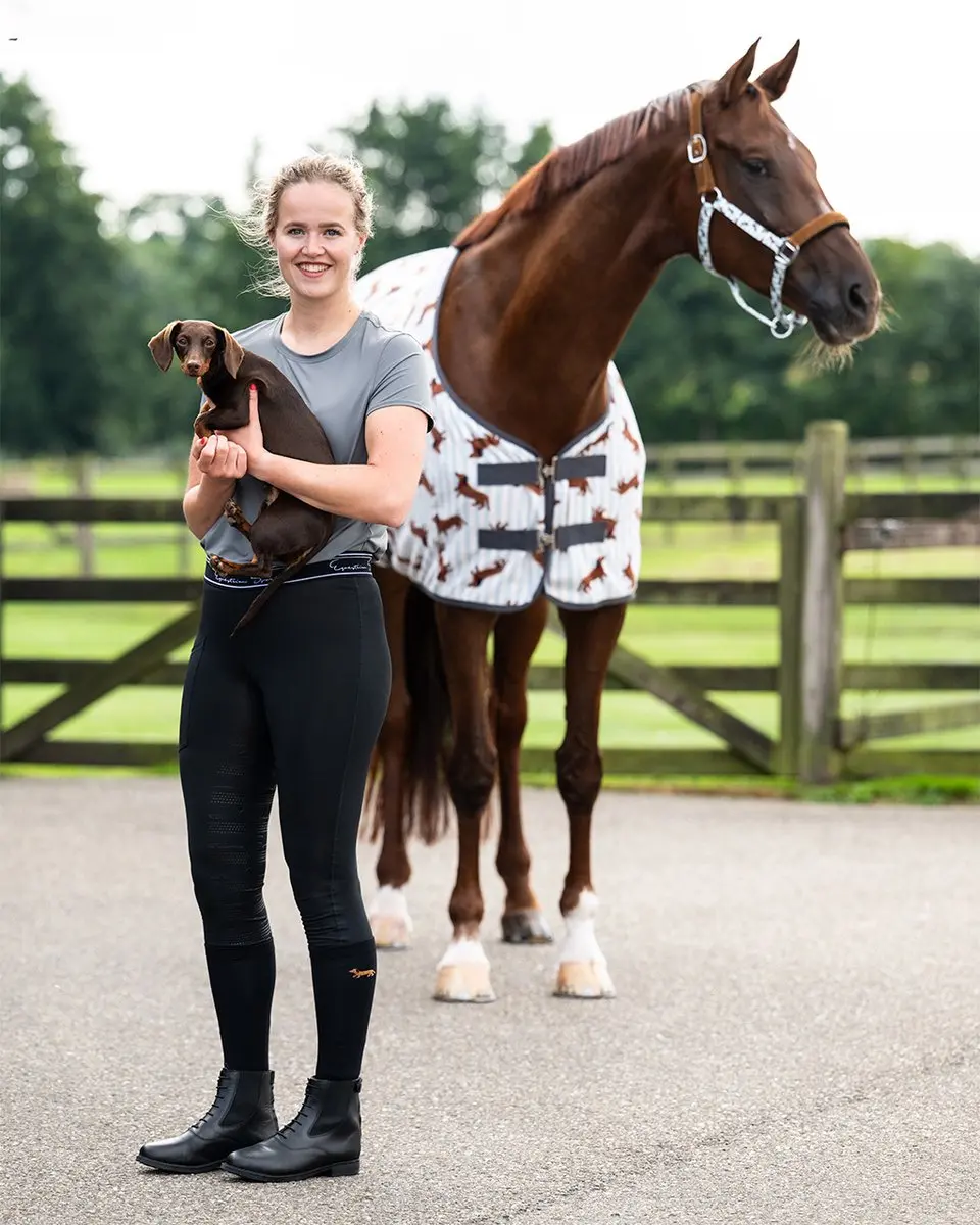 QHP Gift Box Stable Buddy Damessokken - 35-38 - afbeelding 6 van 6