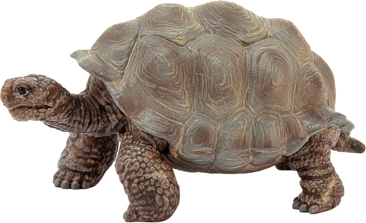 Schleich WILD LIFE Reuzenschildpad Speelfiguur 14824 - Grijs