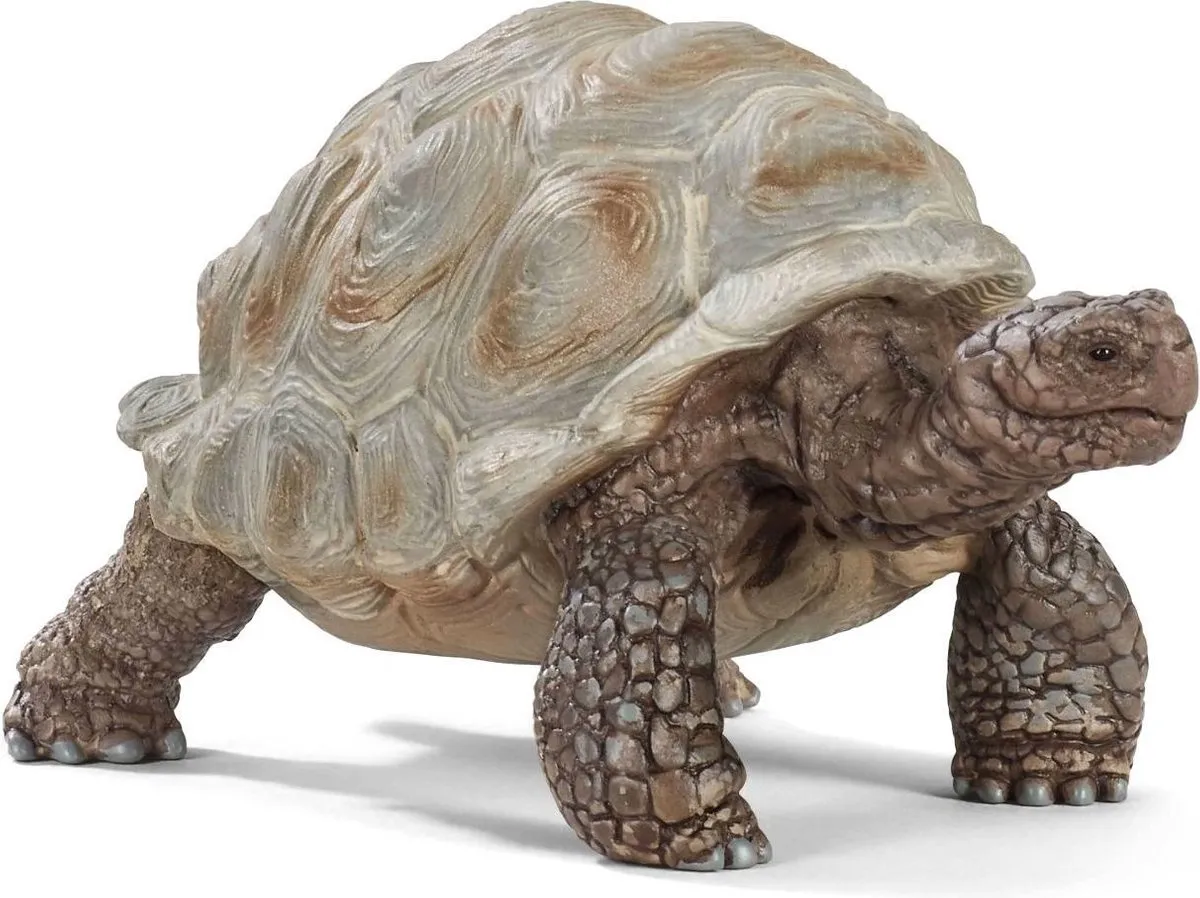 Schleich WILD LIFE Reuzenschildpad Speelfiguur 14824 - Grijs