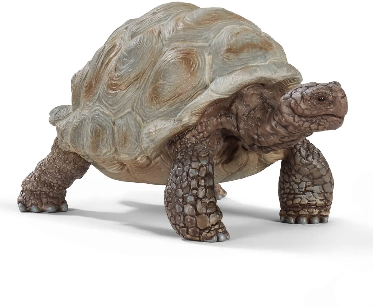 Schleich WILD LIFE Reuzenschildpad Speelfiguur 14824 - Grijs - afbeelding 6 van 6