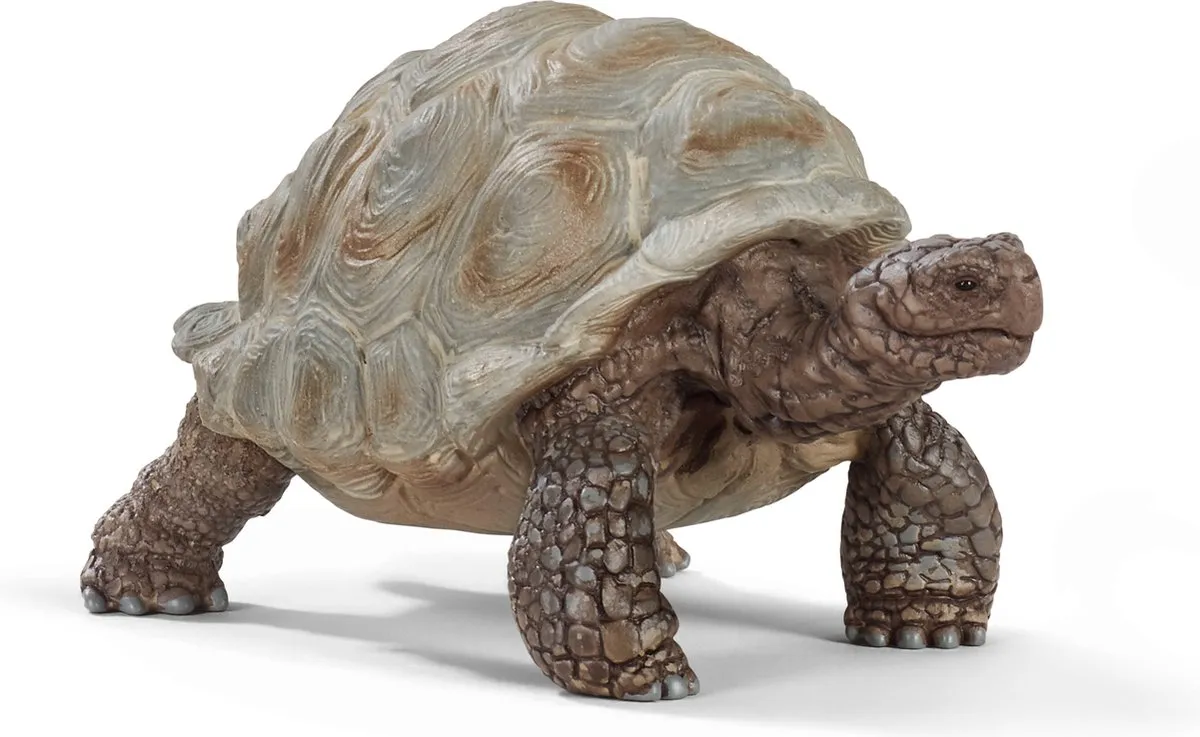 Schleich WILD LIFE Reuzenschildpad Speelfiguur 14824 - Grijs