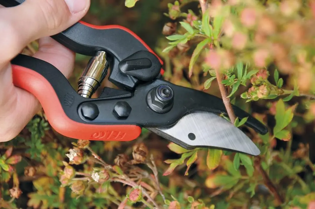 Felco Snoeischaar 160S - afbeelding 5 van 5