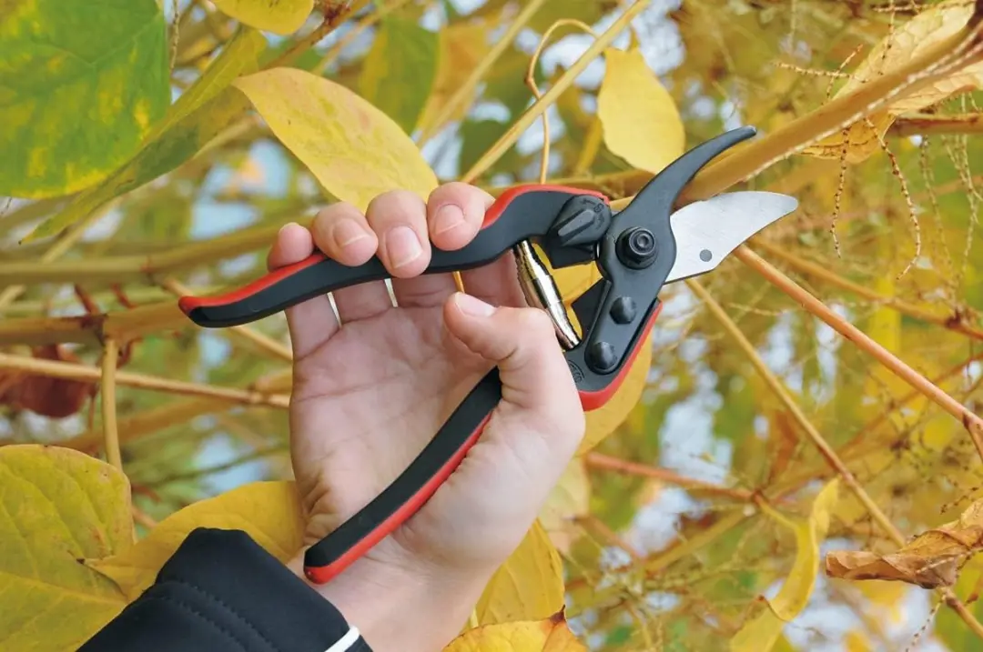 Felco Snoeischaar 160S - afbeelding 4 van 5