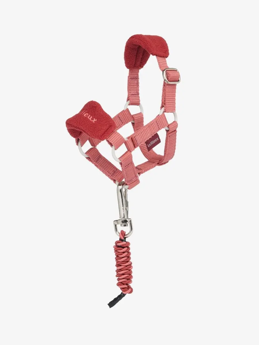LeMieux Toy Pony Vogue Halster Spiced Earth