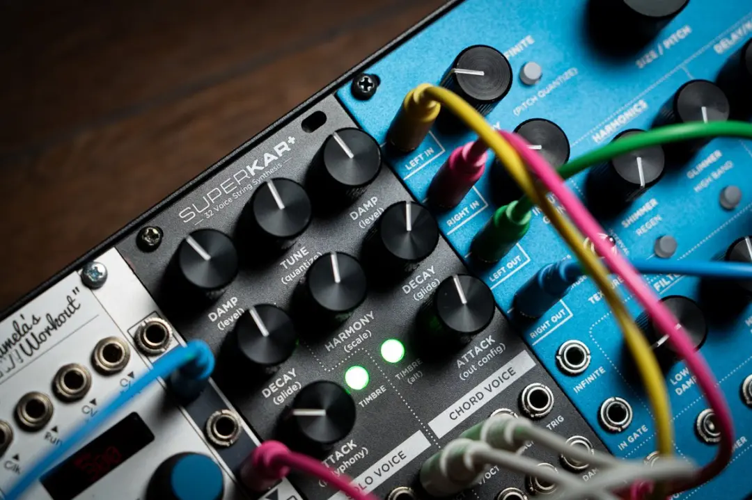 Strymon SuperKar+ Karplus-Strong Synthmodule - 32 Voices - afbeelding 6 van 6