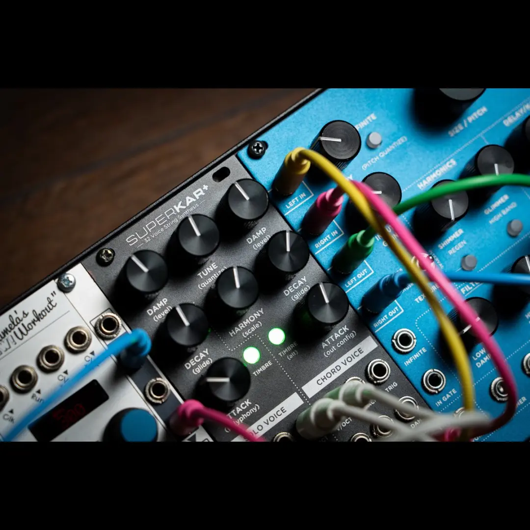 Strymon SuperKar+ Karplus-Strong Synthmodule - 32 Voices