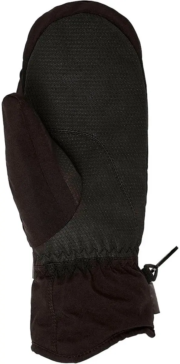 Roxy Gore-Tex Fizz Handschoenen - L - Zwart