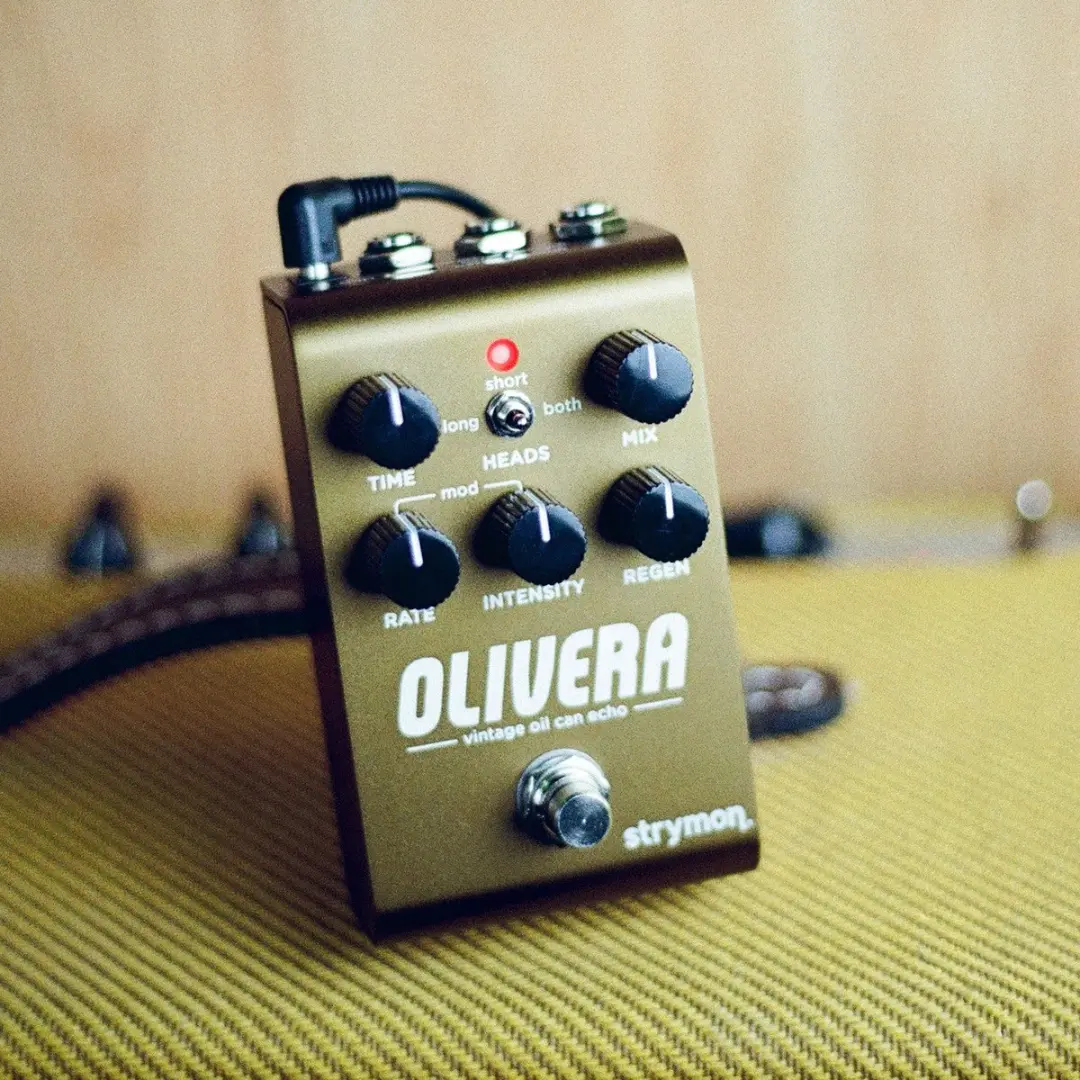 Strymon Olivera Oil Can Echo - Grijs