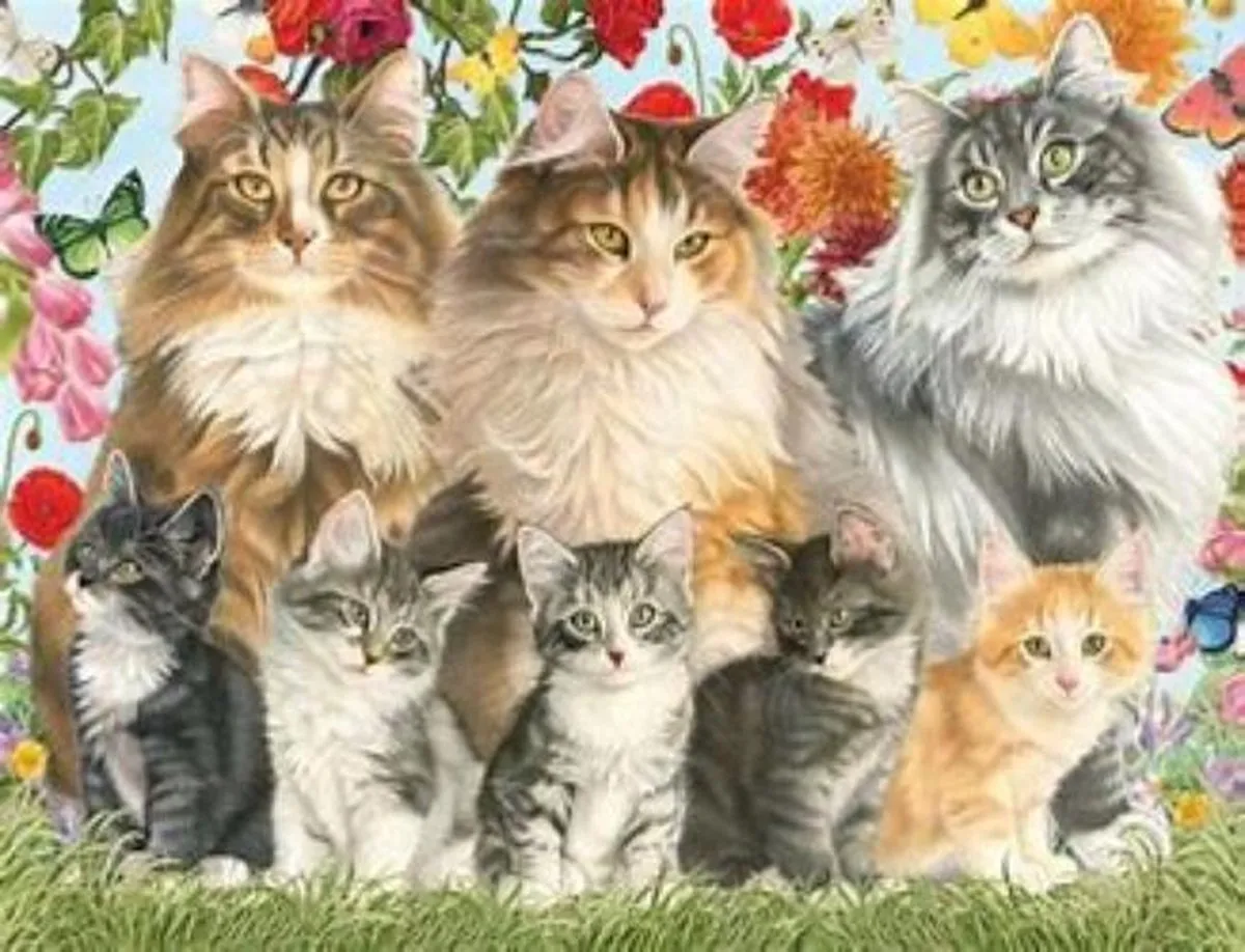 Jumbo Premium Collection Puzzel Francien Cat Family 950 Stuks - Multicolor
