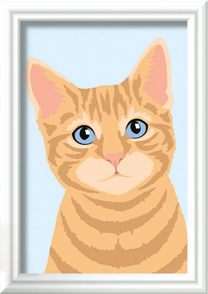 Ravensburger CreArt Orange Tabby Schilderen op nummer - 15 Kleuren