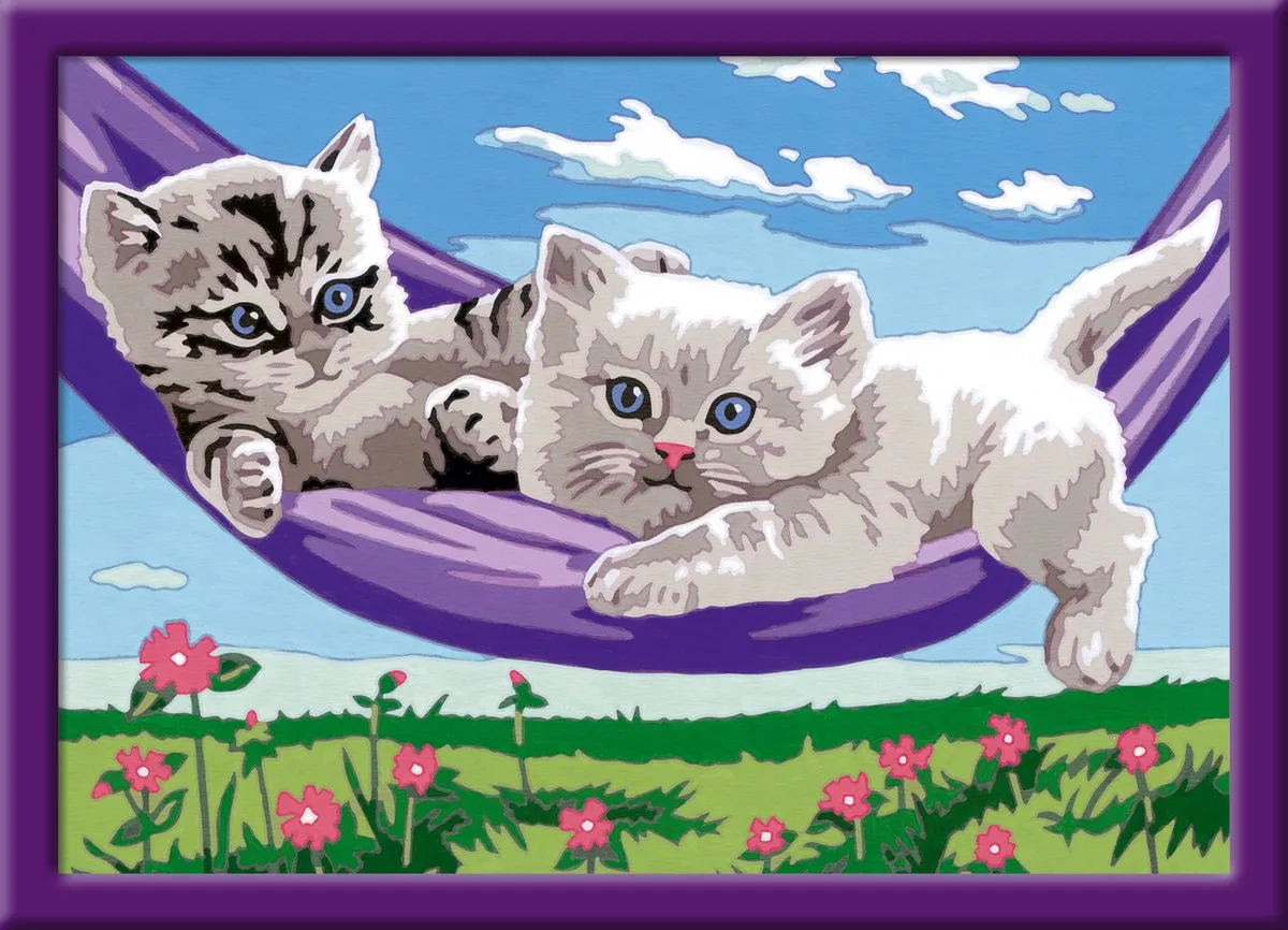 Ravensburger CreArt Hammock Fun Schilderen op nummer - Multicolor