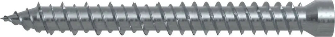 Fischer 532921 schroef/bout 302 mm 100 stuk(s)