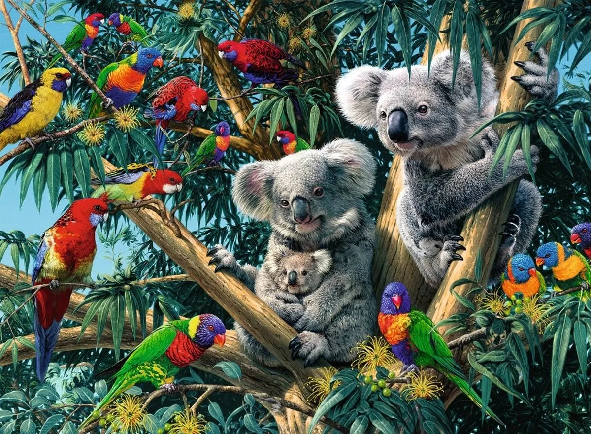 Ravensburger Puzzel Koalas in de Boom 500 Stuks - Multicolor