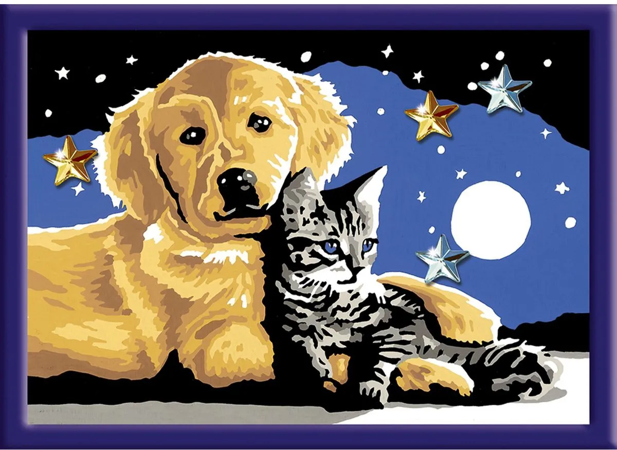 Ravensburger CreArt Stargazing Sweetness Schilderen op nummer - 15 Kleuren - Multicolor