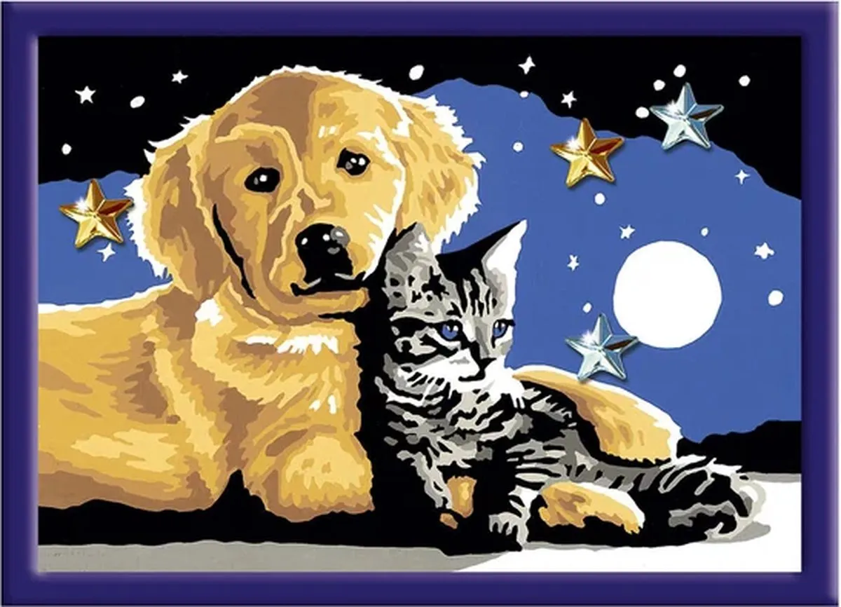 Ravensburger CreArt Stargazing Sweetness Schilderen op nummer - 15 Kleuren - Multicolor