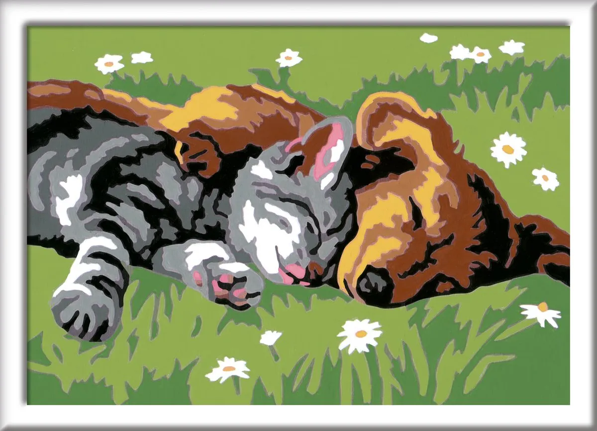 Ravensburger CreArt Sleeping Cats and Dogs Schilderen op nummer - Multicolor - 15 Kleuren