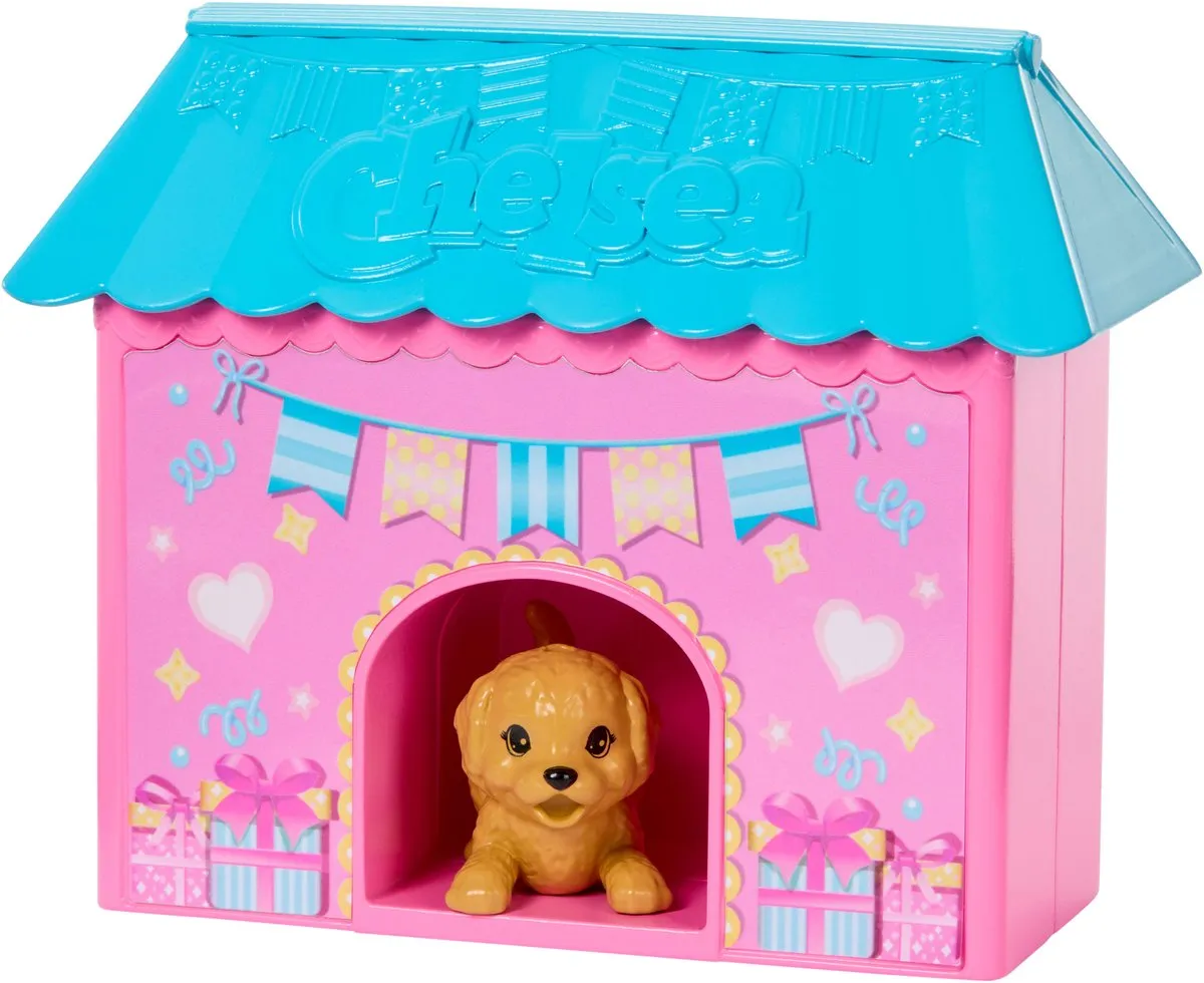 Barbie Club Chelsea Verjaardagsverrassing Pop - Meerkleurig