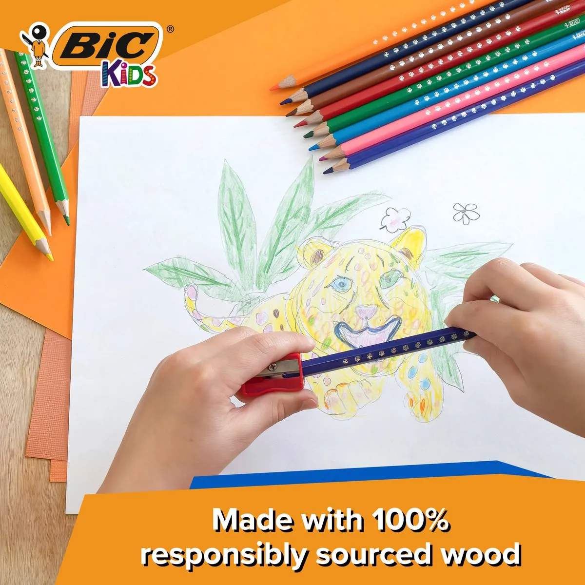 BIC Kids Kleurpotloden - Kleurpotloden - Kinderen - Verschillende Kleuren - Potlood - 12 Stuks