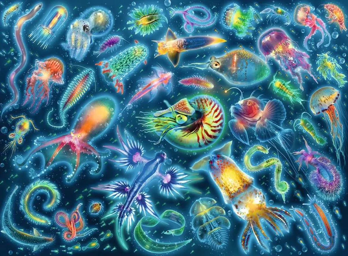 Ravensburger Kleurrijke Kwallen Legpuzzel 500 Stuks - 17375