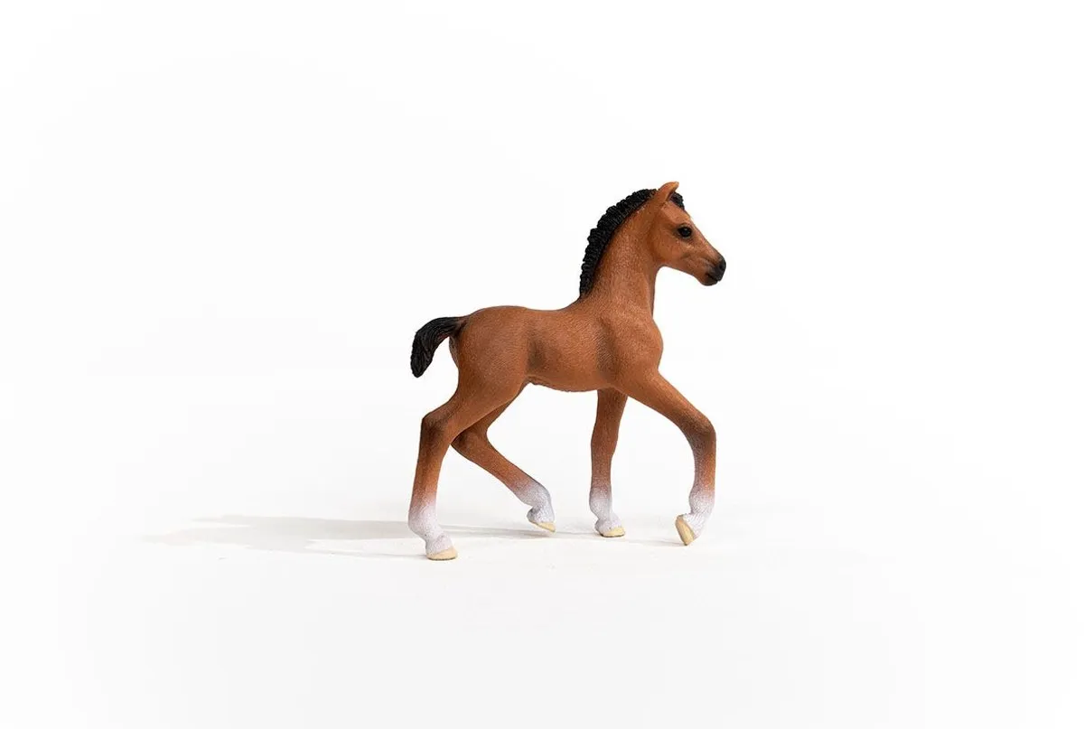 Schleich Horse Club Oldenburger Veulen 13947 - Multikleur