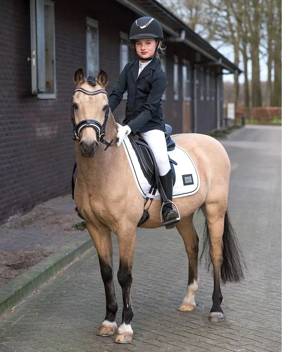 QHP Wedstrijdjas Juliet Junior 176 - Zwart - afbeelding 6 van 6