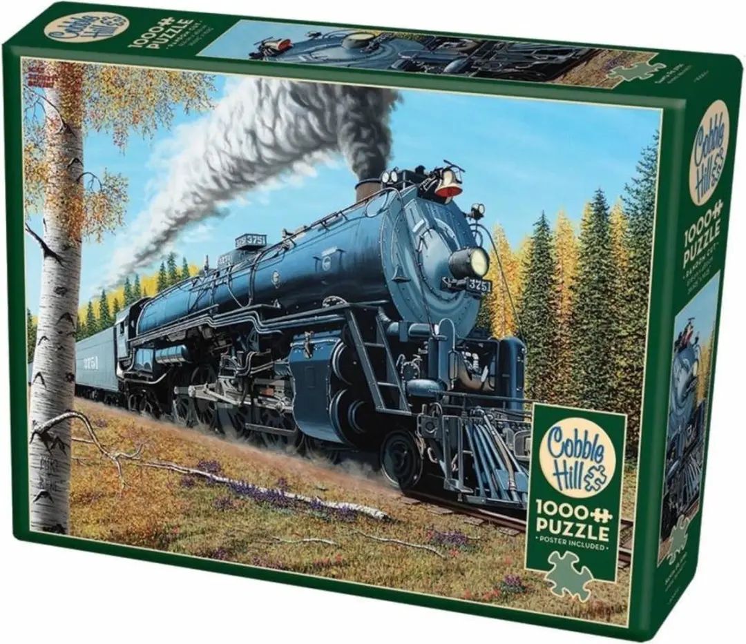 Cobble Hill Santa Fé Legpuzzel 1000 Stuks