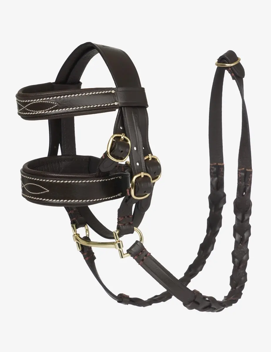 LeMieux Toy Pony Hunter Hoofdstel