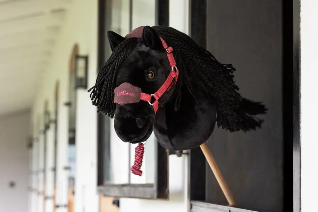 Lemieux Hobby Horse Spike - Zwart - afbeelding 2 van 5