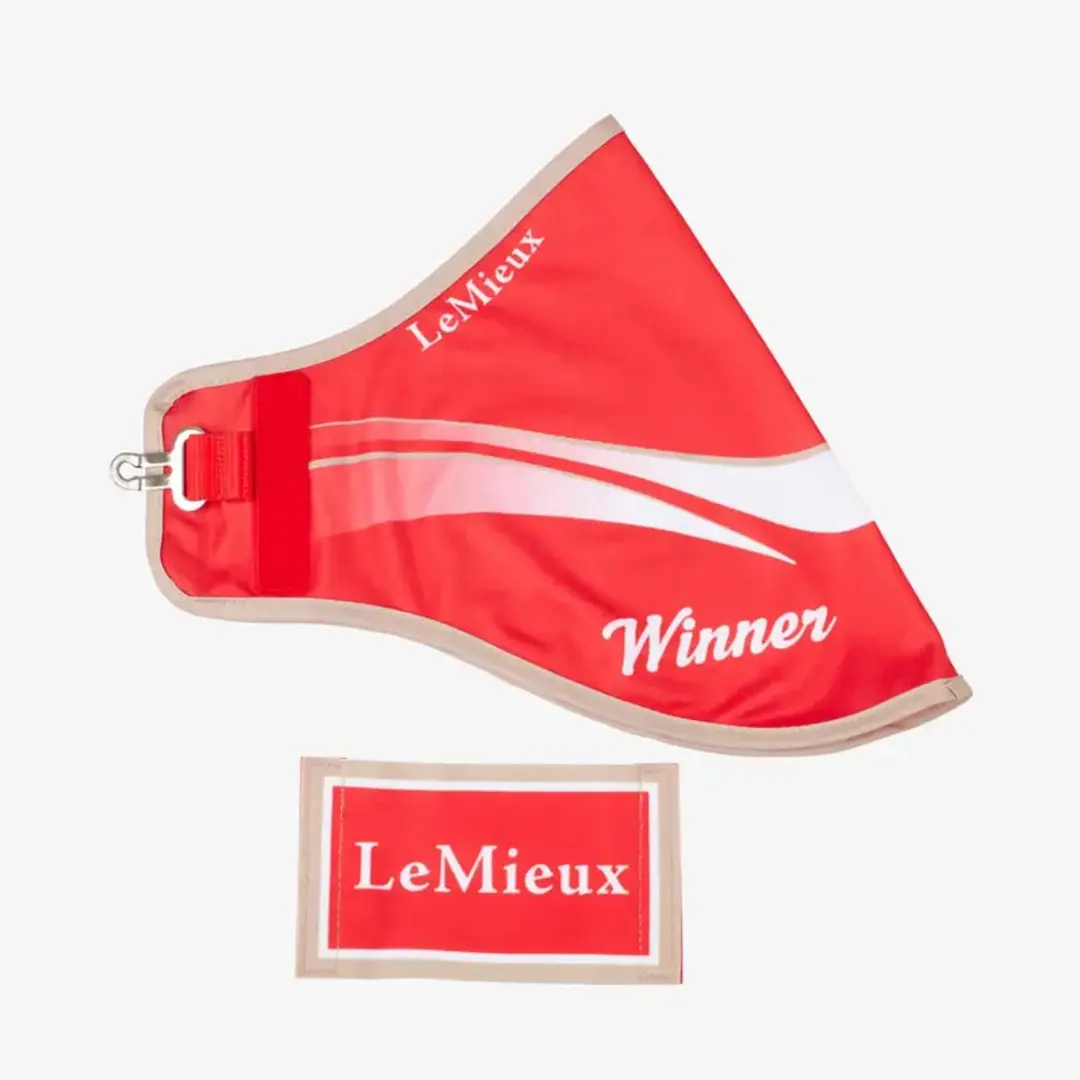 LeMieux Hobby Horse Winners Rug - Rood - afbeelding 2 van 2