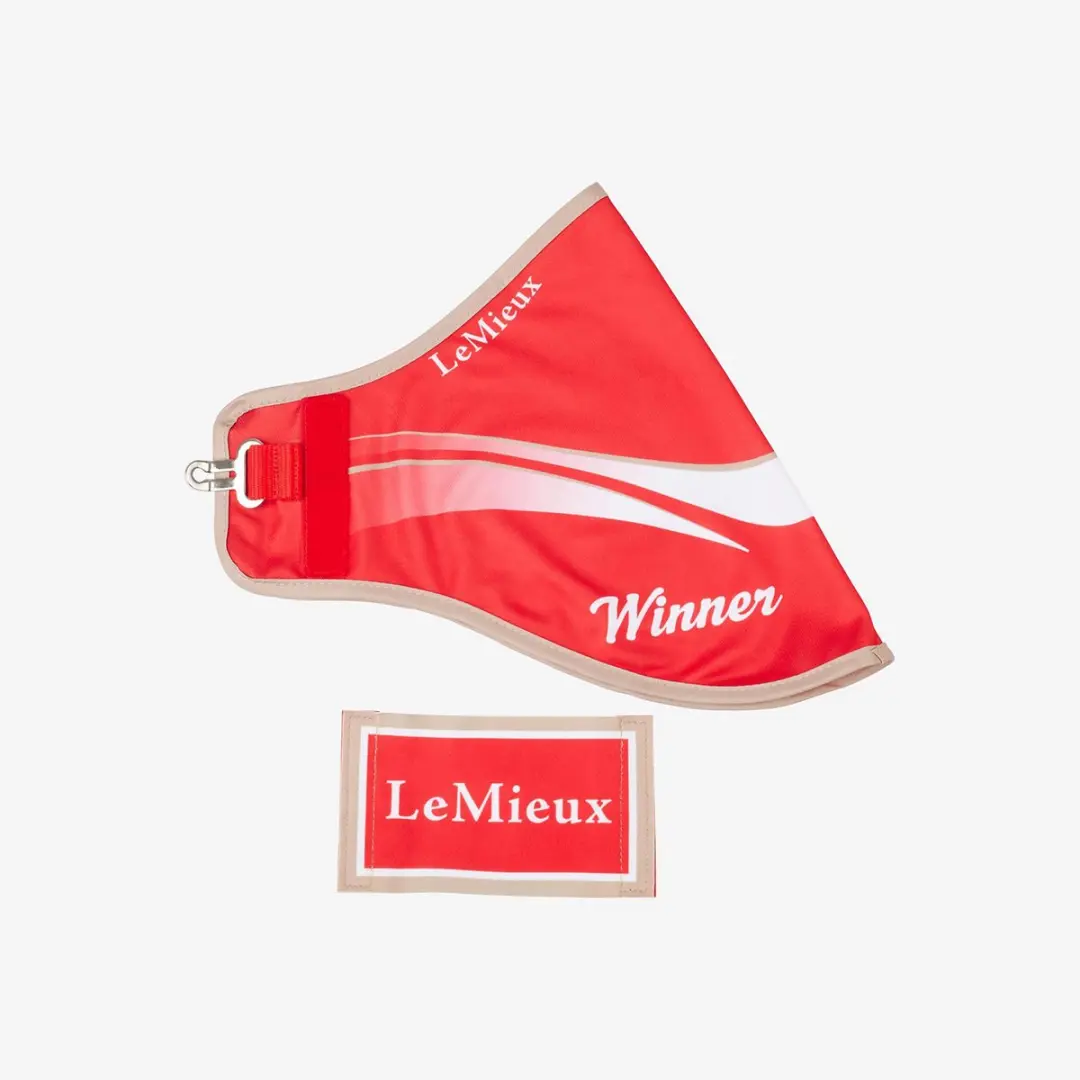 LeMieux Hobby Horse Winners Rug