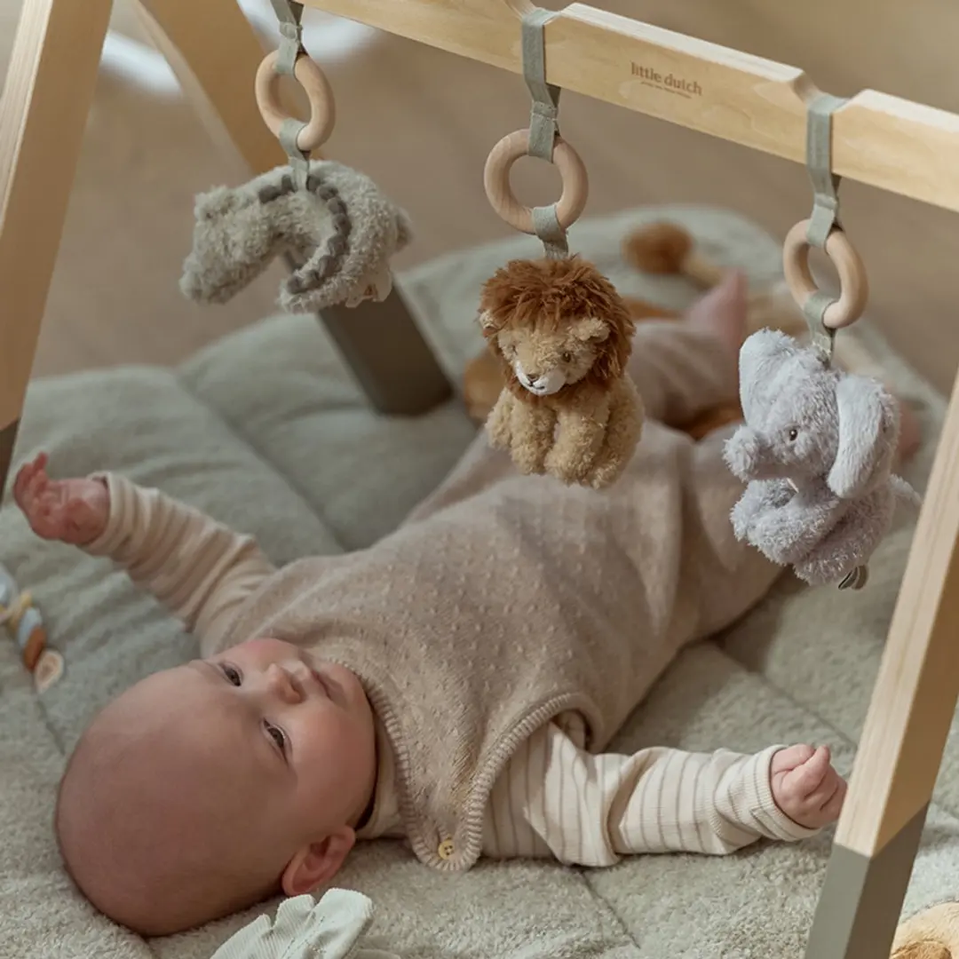 Little Dutch Safari Friends Babygym - 3 Speelelementen - Multicolor - afbeelding 2 van 6