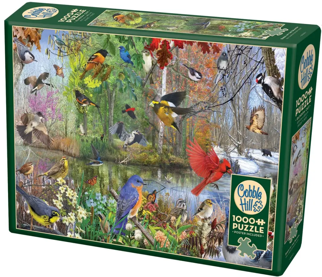 Cobble Hill Birds of the Season 1000 Stuks