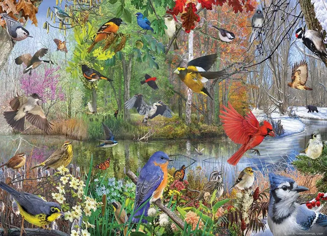 Cobble Hill Birds of the Season 1000 Stuks - Meerkleurig - afbeelding 4 van 6