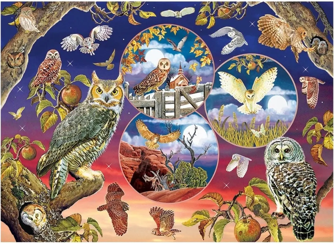 Cobble Hill Owl Magic Puzzel - 1000 Stuks - Multicolor - afbeelding 2 van 3
