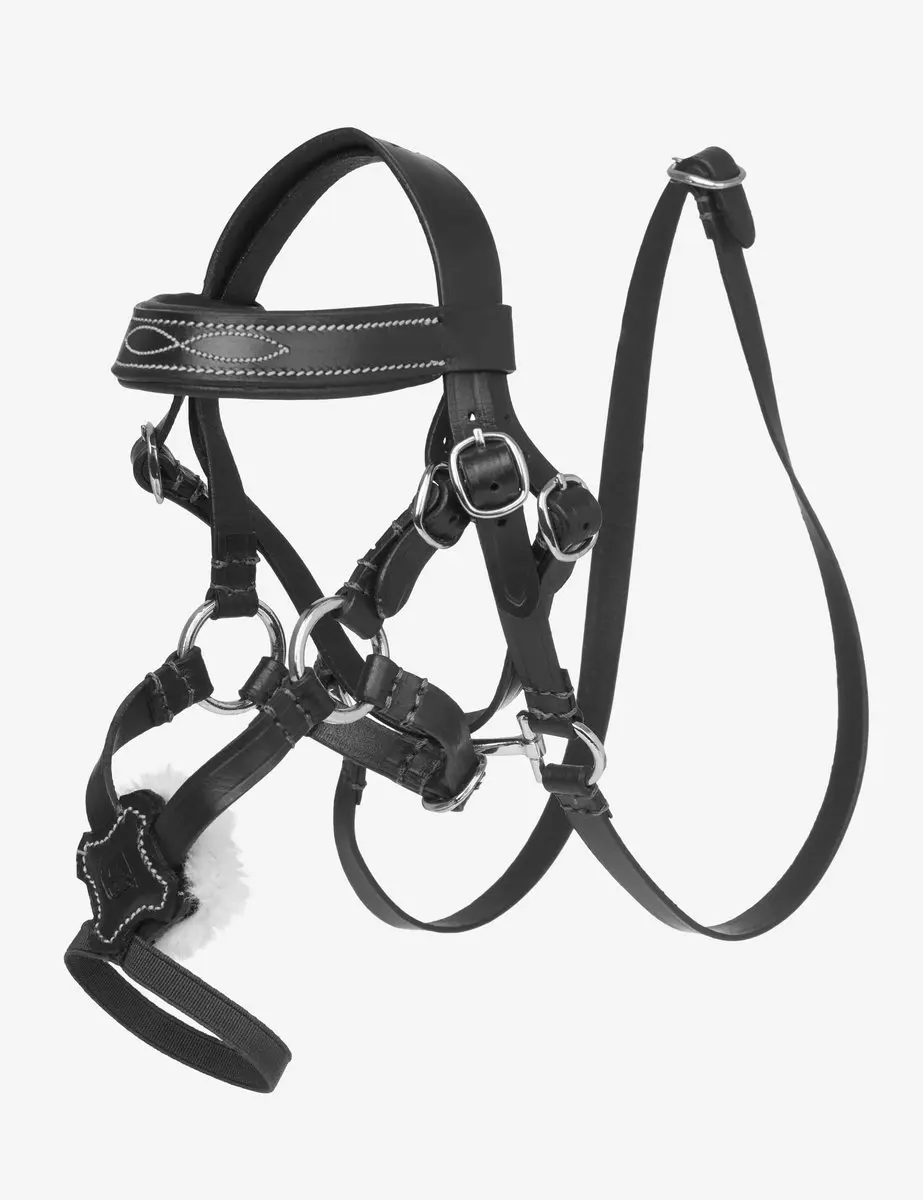 Lemieux Toy Pony Grackle Hoofdstel