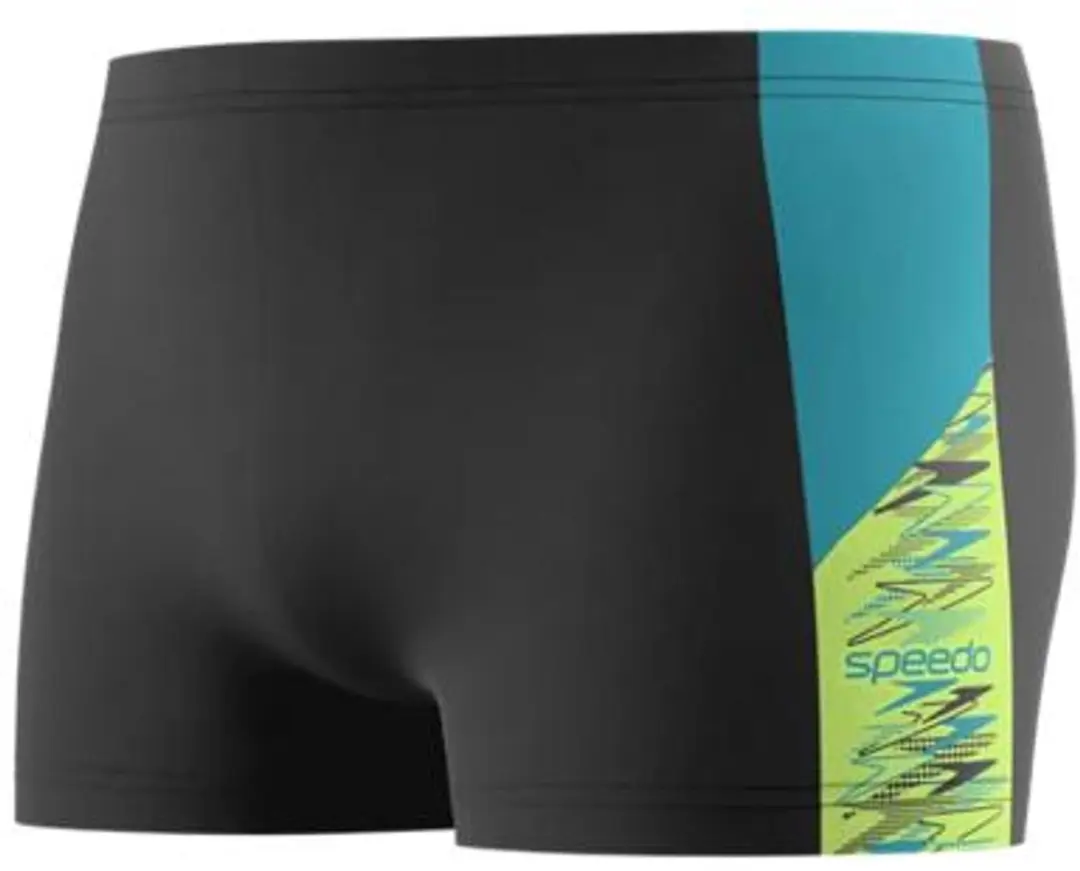 Speedo Dive Aquashort Heren