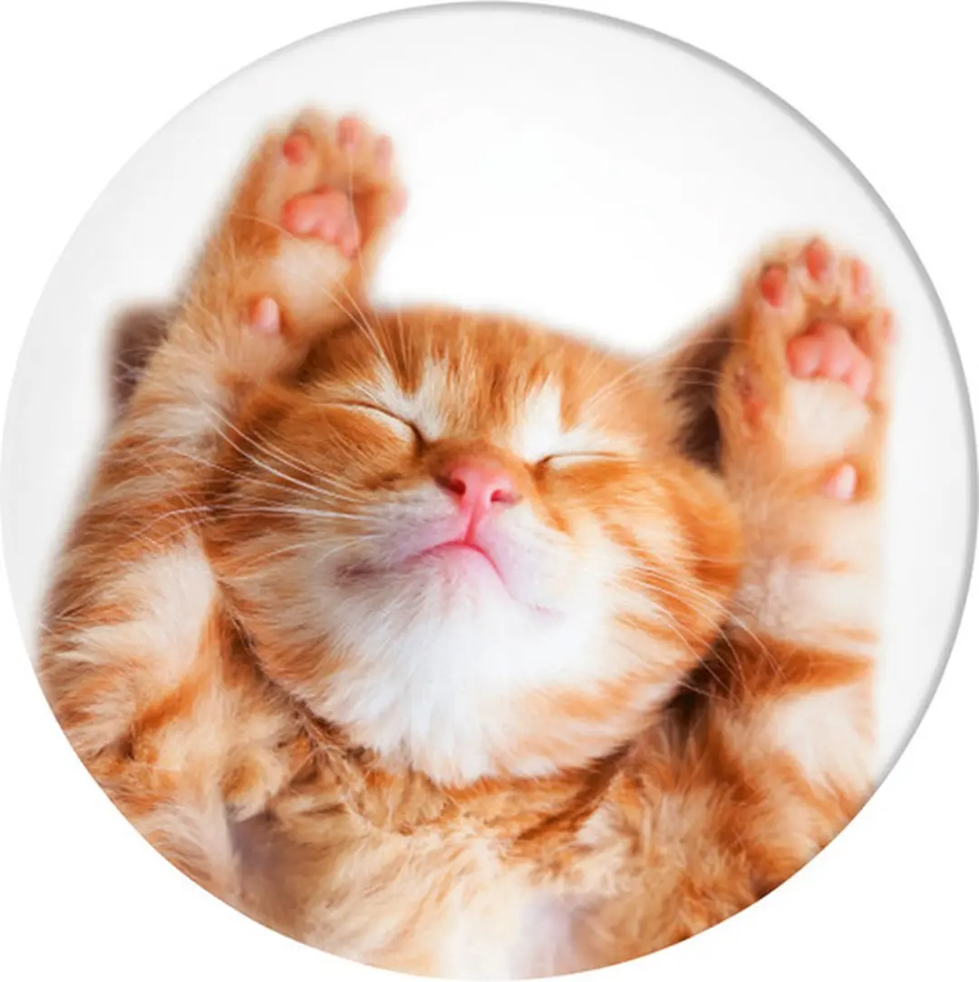 PopSockets PopGrip Basic Snoozy Cat - Telefoonbutton - afbeelding 2 van 5